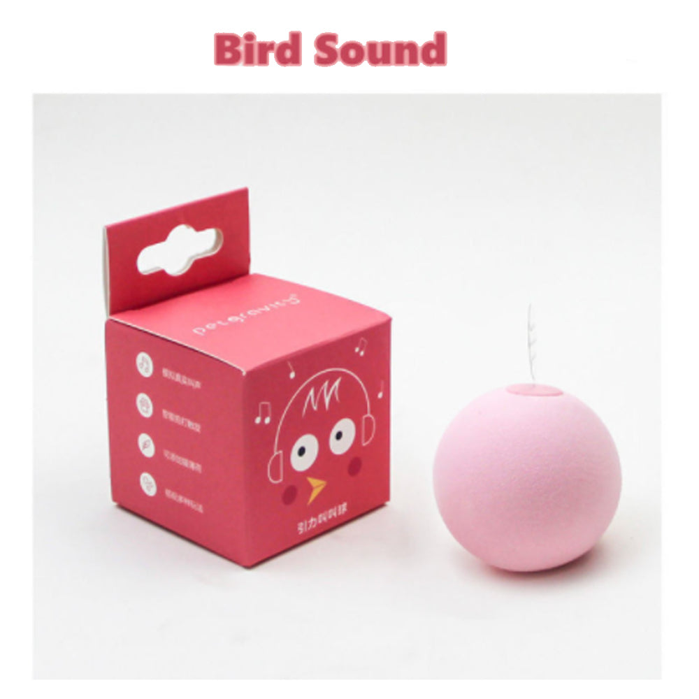 Sensory sound toys, interactive squeaky pet balls with reusable catnip